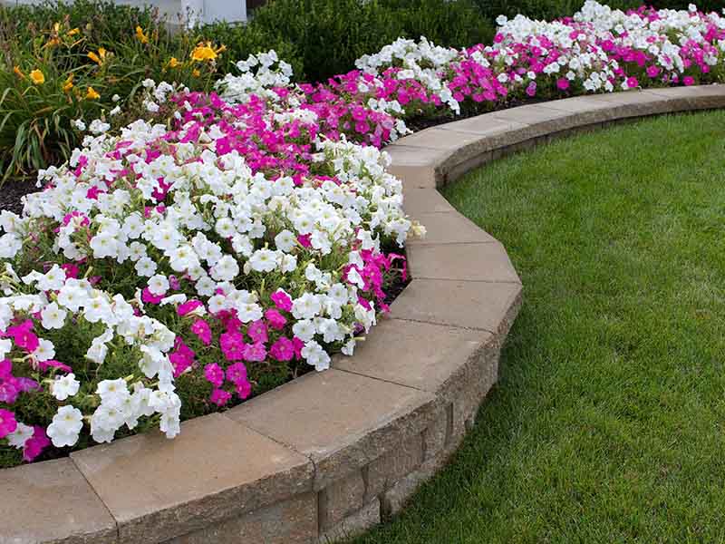 Stenläggning & trädgårdsrenovering. Viggbyholm Täby