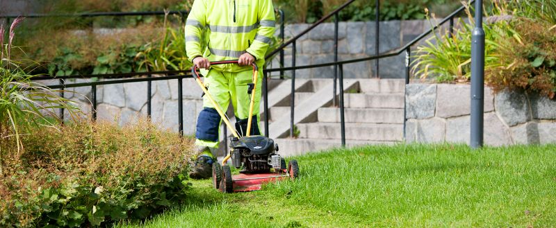 Trädgårdsskötsel & Finplanering